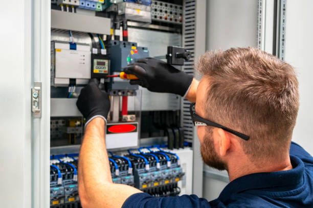 Best Electric Panel Repair  in St Hedwig, TX